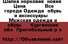 Шапка норковая, новая › Цена ­ 5 000 - Все города Одежда, обувь и аксессуары » Мужская одежда и обувь   . Курганская обл.,Притобольный р-н